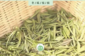三村同行者：你知道流传千年的最北名茶吗？武则天用它治好了胃病视频封面