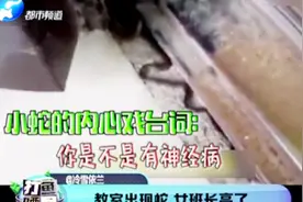 信阳某教学楼惊现蛇！男生被吓跑，女班长英勇抓蛇：以为是蚯蚓呢视频封面