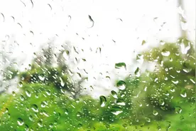 下完雨后的泥土味，是从哪里来的？视频封面