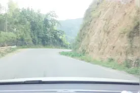 山路开车从按喇叭，就能看出新手和老司机的区别！视频封面