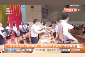 园区公布211家独角兽、瞪羚企业 树立标杆企业集群视频封面