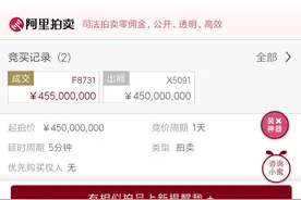 新飞拍卖结束！安徽康佳电器科技有限公司接手！图片