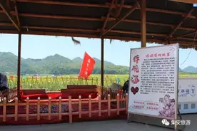 “抖音”同款摔碗酒现身集安油菜花海图片