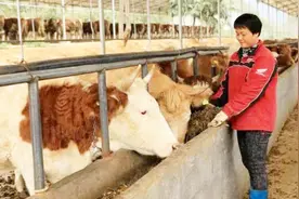 标准化养殖场补贴出炉，养殖大户有福了，散养户也有机会吗？视频封面