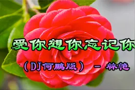 2018新歌！一首《爱你想你忘记你》爱恋情歌，好听醉人！