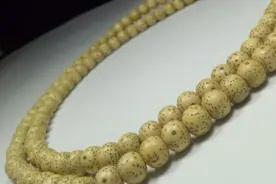 一分钟带您了解星月菩提视频封面