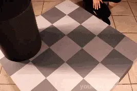 眼前的黑不是黑，你说的白是什么白图片