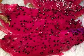 女人过了40岁衰老加快？这3种食物坚持吃，比同龄人更年轻视频封面