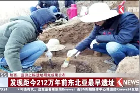 陕西蓝天上陈遗址研究成果公布 发现古人类打制石器视频封面