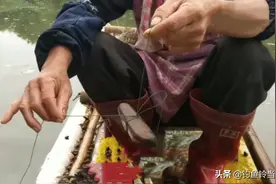 古老的钓鱼法，专钓无鳞鱼的神器，目前很少人会用的钓法：竹筒钓图片