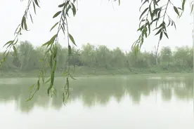 安徽定远：一个适合归乡养老，把酒桑麻串门养花的村庄，城东周庄视频封面