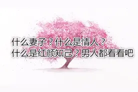 什么妻子？什么是情人？什么是红颜知己？男人都看看吧视频封面