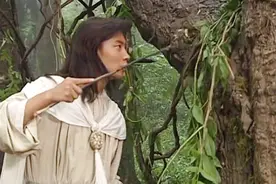 活林结界的树藤会抓人玩，要给它挠痒痒才会放人，太神奇了视频封面