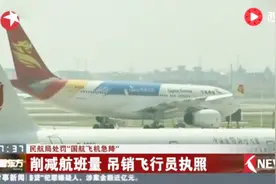 民航局处罚“国航飞机急降”：削减航班量 吊销飞行员执照