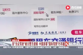 因“无证驾驶”被日警方逮捕 中国游客“国际驾照”行不通视频封面