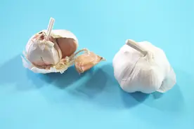 吃完大蒜满口蒜臭味怎么办？教你3个小妙招，立马去除口中异味视频封面