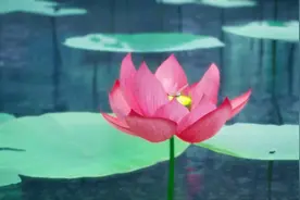 如果你在感情中感到劳累，看看这个视频，也许就能让彼此相处不累视频封面