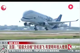 圆鼻尖嘴的白鲸在天上飞？53吨重！飞行4000多公里！视频封面