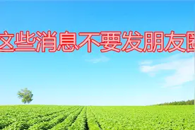 这些消息，千万不要在发朋友圈里了视频封面