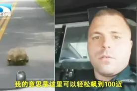 乌龟慢悠悠挡道 警察吐槽笑尿了视频封面