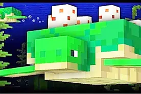 魔哒我的世界 如何驯服1.13海洋之约里的海龟视频封面