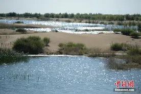 中国第七大沙漠治理：引黄河凌水“沙漠变绿洲”图片