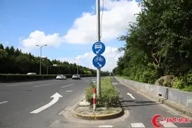 记者调查 5公里长道路竟没有人行道，这段嘉松中路让人“无路可走图片