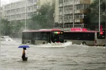 “台风雨”来势猛 津城普降大暴雨图片
