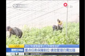 2017年度江苏省审计工作报告出炉 绩效管理仍需加强视频封面