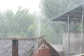 河南南阳：今天下午突降暴雨，雨真大，可凉快了