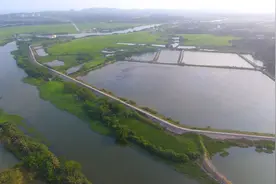 国务院印发《通知》：除国家重大战略项目外 全面停止新增围填海项目审批视频封面