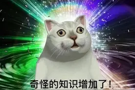 警惕！这些骗人的“赌命交易”，希望永远不要发生在你身上图片