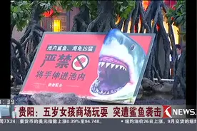 奶奶带着5岁孙女逛商场 鲨鱼突然跳起咬住女孩手指！现场血流不止视频封面