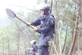 为这群伟大的解放军战士点赞！为扫除地雷，他们穿梭在生死线上视频封面