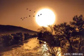 柴静写野夫：日暮乡关何处是图片