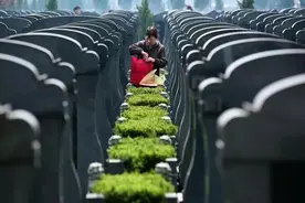 向天价墓豪华墓说不！郑州严查殡葬领域12项违法违规行为图片