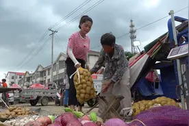 暴风雨来了，集市上卖菜的老人为啥不愿回家？看完莫名心酸视频封面