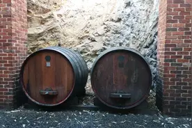 澳大利亚诗蜜琪酒庄现场人工采摘葡萄视频封面