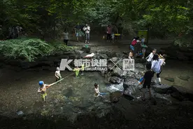 暑假热门景点！千万别开车去九溪十八涧，有人一段路开3个多小时！图片