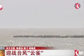 台风“云雀”提前登陆！上海普降大到暴雨，最大风力达到8级！视频封面