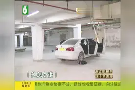 学车像是地下交易，学时是在车库刷出来的，连刹车油门都没踩过视频封面