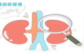 人肾脏的正常大小是多大？这些冷知识你知道吗？每个人的都不同视频封面