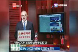 辽宁——250万吨氧化铝项目被取消视频封面