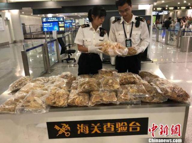 花胶过安检 2026年花胶可以带过关吗