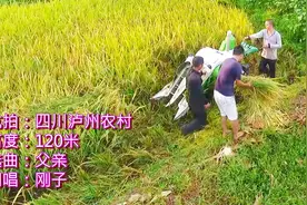四川泸州：航拍农村美不美我说了不算，老百姓说了算视频封面