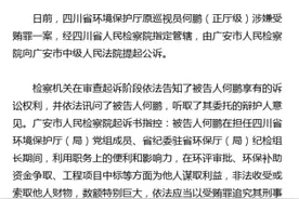 四川检察机关依法对何鹏涉嫌受贿案提起公诉图片