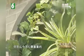 为何男女大跳拉丁舞后就尴尬了？居然真的心动了？满脸通红好害羞视频封面