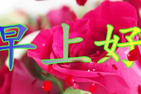 早上好！清晨第一句祝福，第一声问候，送给最爱的你，想你恋你！视频封面