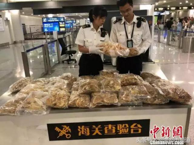 过关不给带燕窝花胶 2026年过关不给带燕窝花胶是真的吗