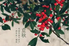 药补不如食补，五色入五脏，一年更健康图片